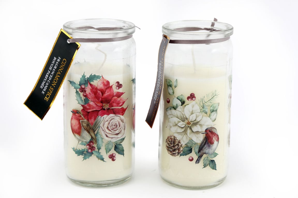 Botanical Glass Jar Candles - Set of 2 Festive White Cinnamon and Spice Scented Candles, 14cm