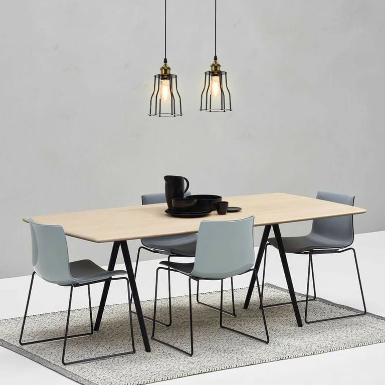 Industrial Modern Retro Loft Cage Ceiling Lamp - E27 Metal Pendant Light with Adjustable Installation Hardware