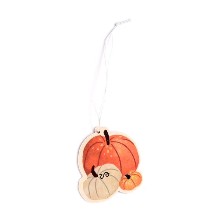 Autumn Spice Air Freshener - Autumn Harvest Scented Card and Polypropylene Home Fragrance for Halloween Season