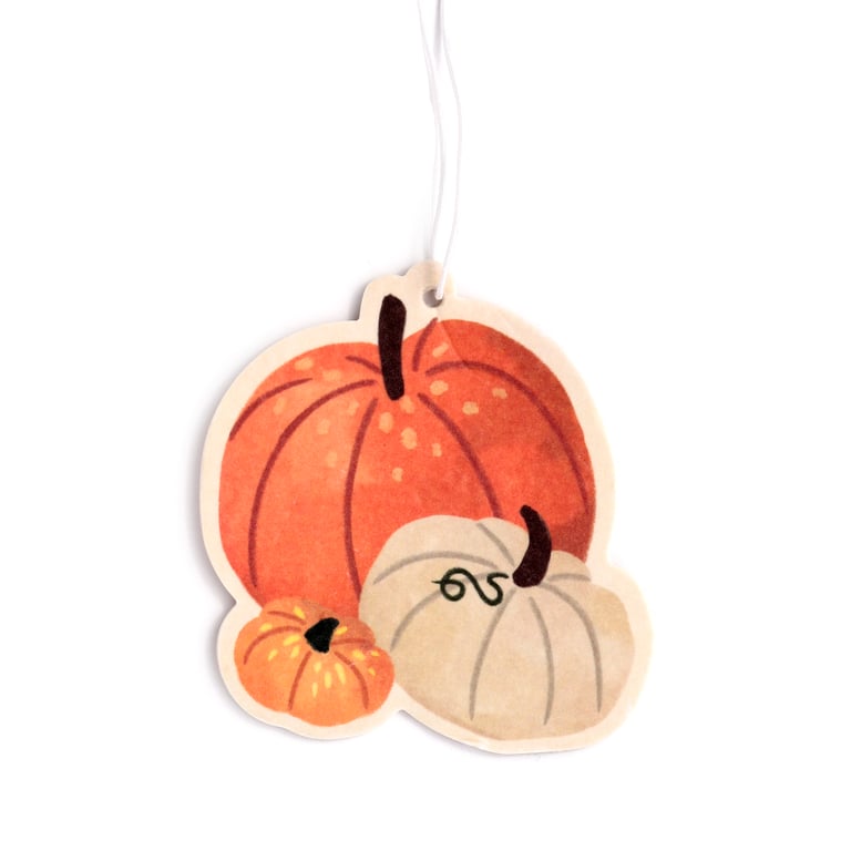 Autumn Spice Air Freshener - Autumn Harvest Scented Card and Polypropylene Home Fragrance for Halloween Season