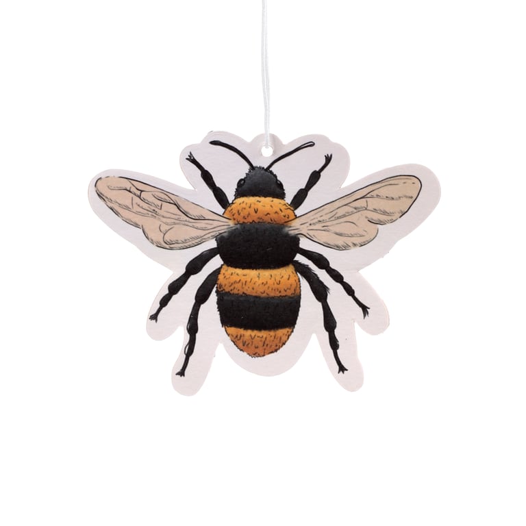 Nectar Meadows Jasmine Scented Air Freshener - Absorbent Paper and Long-Lasting Home Fragrance