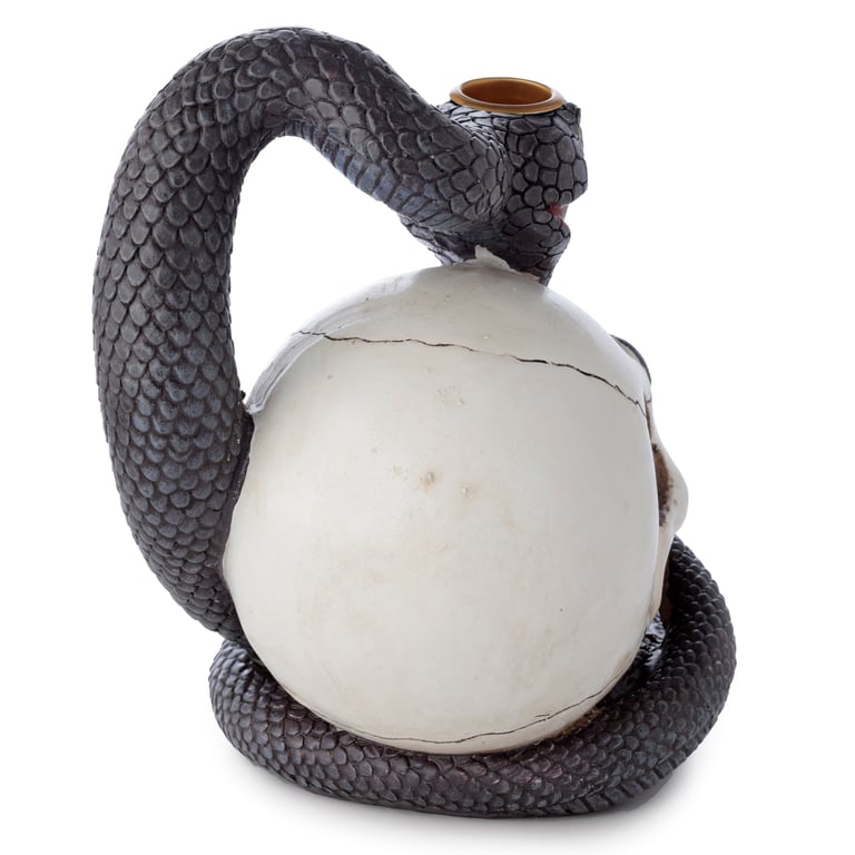 Snake and Skull Backflow Incense Burner - Resin & Metal Design