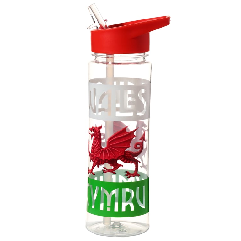 Reusable 550ml Flip Straw BPA Free Water Bottle - Welsh Dragon Wales Souvenir