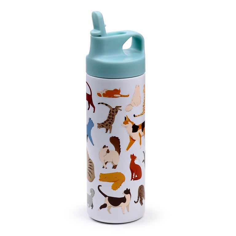 Reusable Insulated Stainless Steel 500ml Double Walled Drinks Bottle - Feline Fine Cats