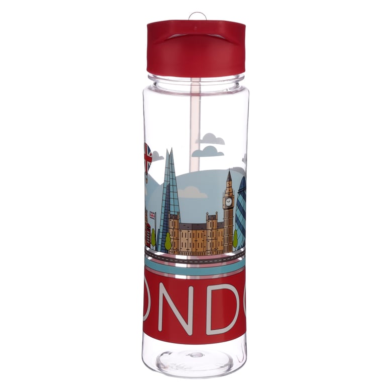 London Panorama 550ml BPA Free Reusable Water Bottle with Flip Straw