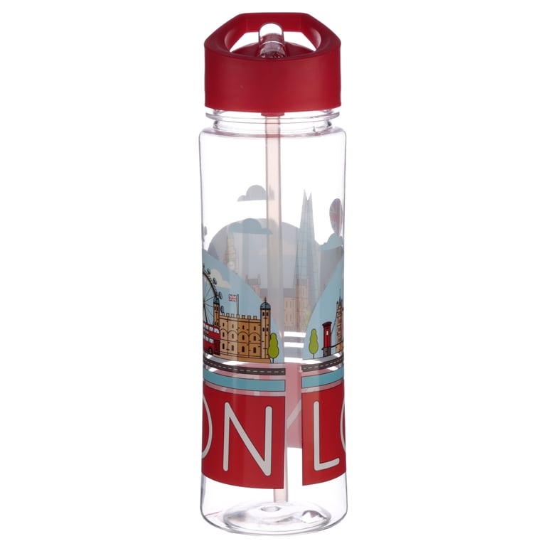 London Panorama 550ml BPA Free Reusable Water Bottle with Flip Straw