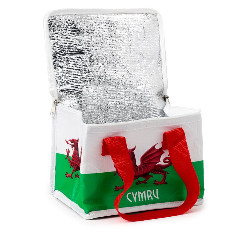 Recycled Plastic Welsh Dragon Insulated Reusable Cool Bag