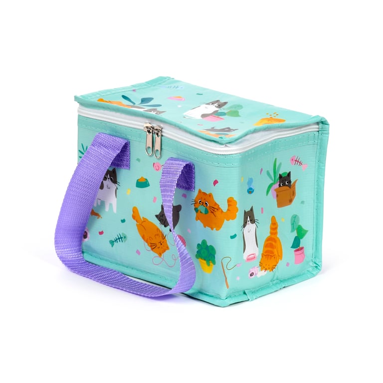 Beans & Co Insulated Cooler Bag - Reusable and Eco Friendly Pet Carrier Made from Recycled Plastic Bottles