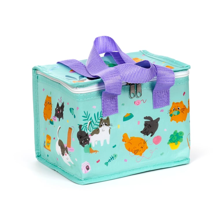 Beans & Co Insulated Cooler Bag - Reusable and Eco Friendly Pet Carrier Made from Recycled Plastic Bottles