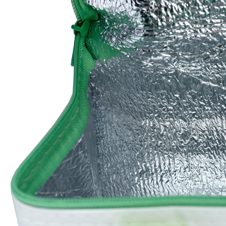 Dinosauria Jr RPET Insulated Eco Friendly Cooler Bag