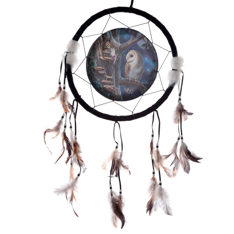 Licensed Medium Owl and Fairy Dreamcatcher - Printed Polyester & Faux Leather