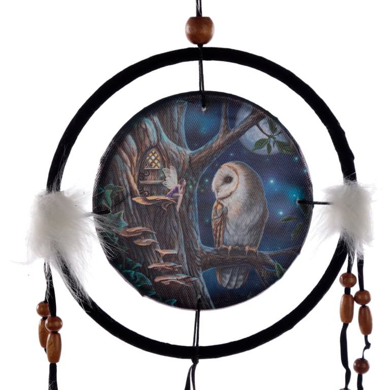 Lisa Parker Small Licensed Owl & Fairy Dreamcatcher - Polyester and Faux Materials