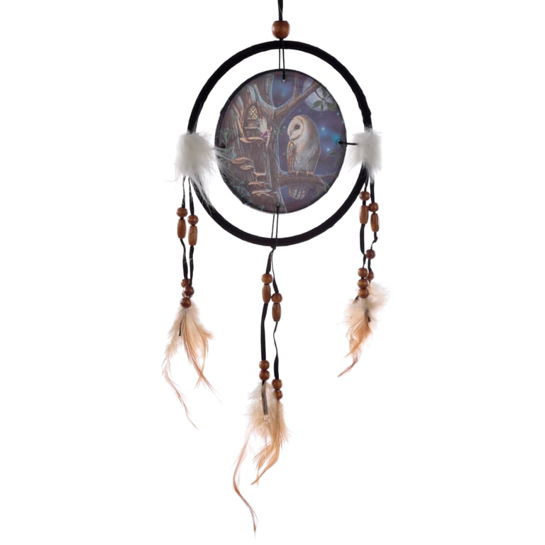 Lisa Parker Small Licensed Owl & Fairy Dreamcatcher - Polyester and Faux Materials
