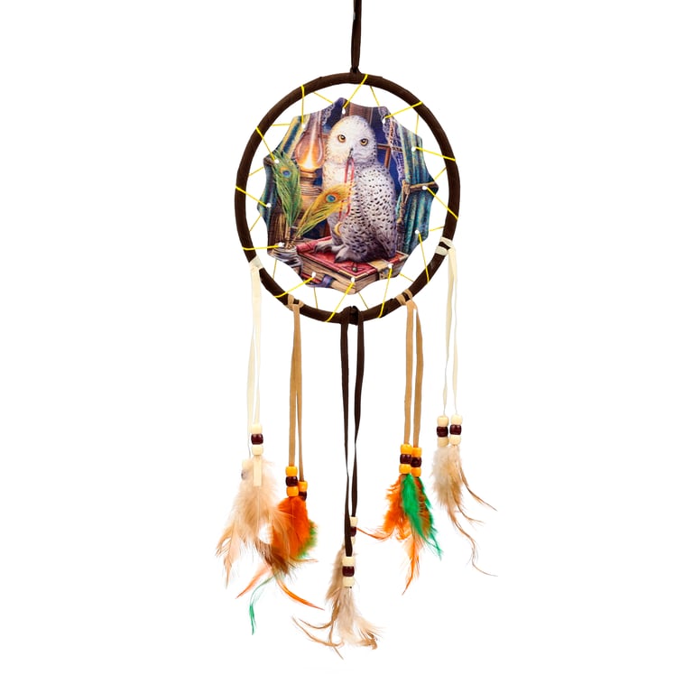 Licensed Small Polyester Dreamcatcher - Lisa Parker Owl Guardian of Spells