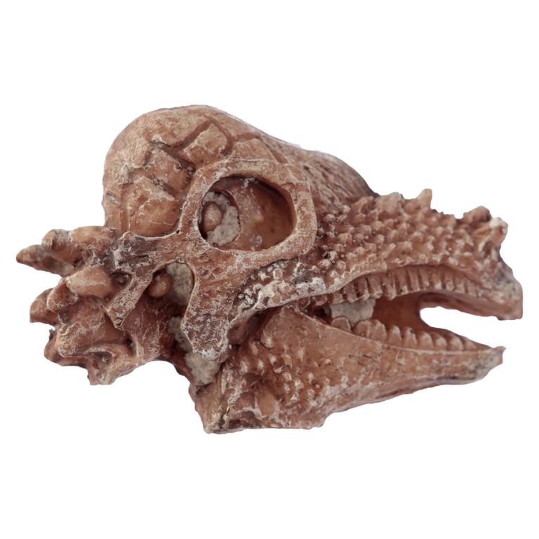 Fun Excavation Dig it Out Kit - CE Marked Dinosaur Fossil Resin Archaeology Set for Kids