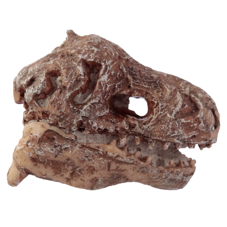 Fun Excavation Dig it Out Kit - CE Marked Dinosaur Fossil Resin Archaeology Set for Kids