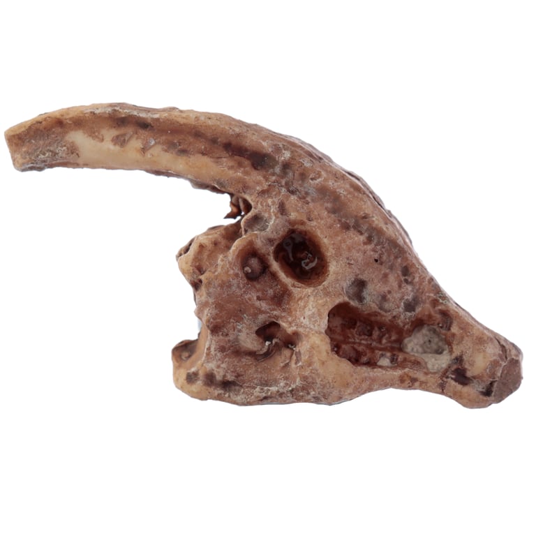 Fun Excavation Dig it Out Kit - CE Marked Dinosaur Fossil Resin Archaeology Set for Kids