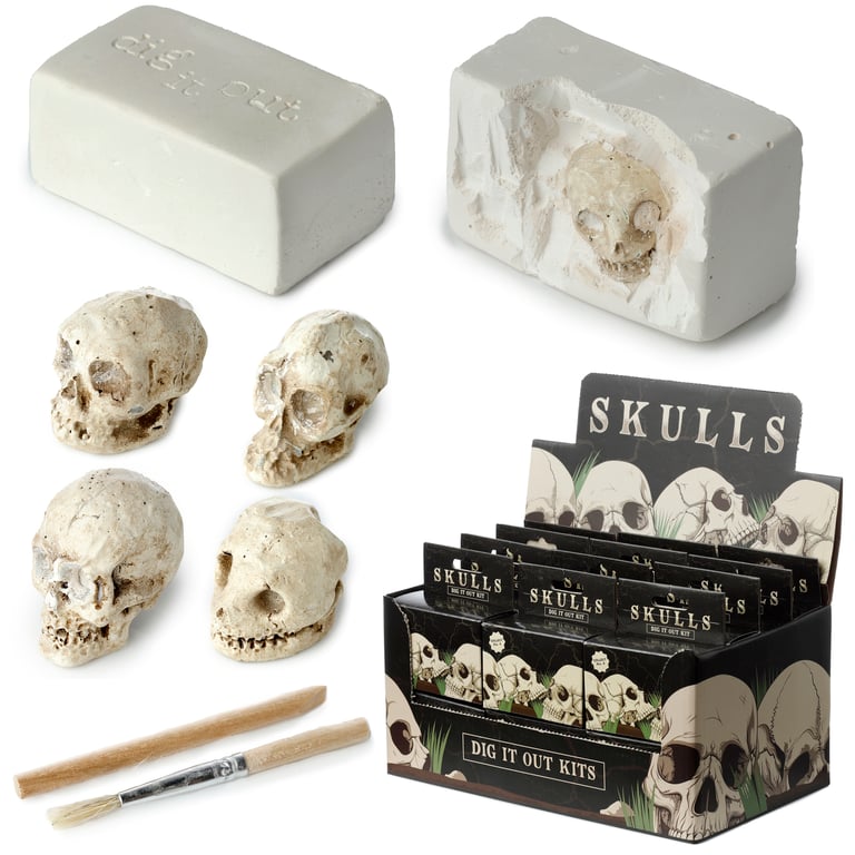 Fun Excavation Dig It Out Kit - Human Skull Resin Gypsum Sand CE Marked Educational Toy Set for Supervised Children