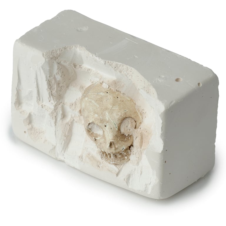Fun Excavation Dig It Out Kit - Human Skull Resin Gypsum Sand CE Marked Educational Toy Set for Supervised Children