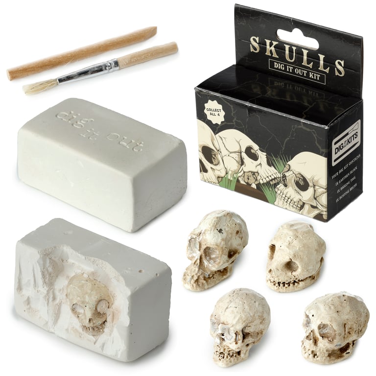 Fun Excavation Dig It Out Kit - Human Skull Resin Gypsum Sand CE Marked Educational Toy Set for Supervised Children