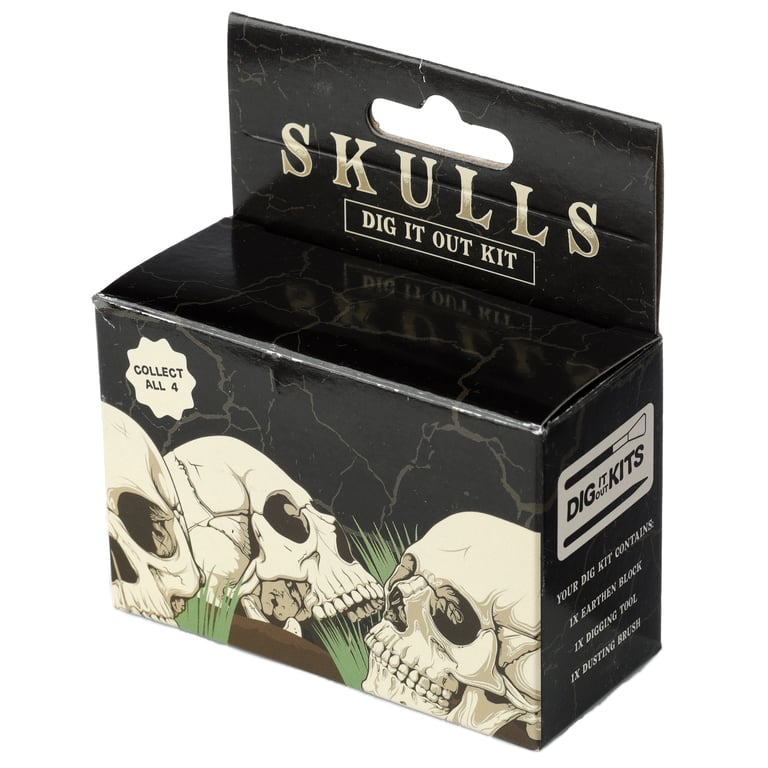 Fun Excavation Dig It Out Kit - Human Skull Resin Gypsum Sand CE Marked Educational Toy Set for Supervised Children