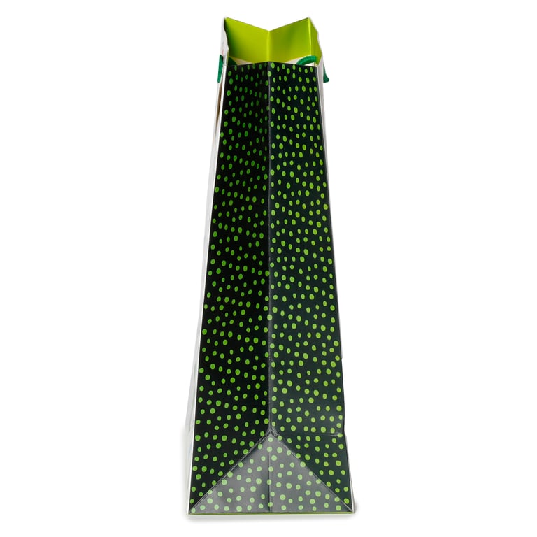 Large Card Gift Bag with Cord Handles - Dinosauria Jr Personalized Gift Wrap