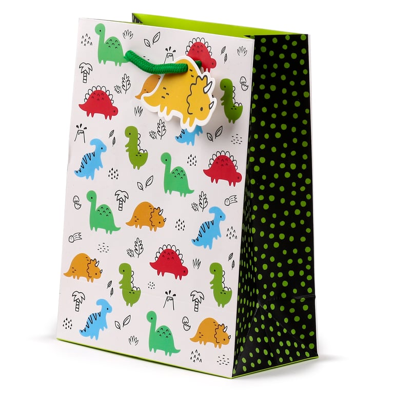 Medium Dinosauria Jr Card Gift Bag with Cord Handles and Tag