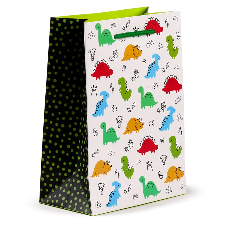 Medium Dinosauria Jr Card Gift Bag with Cord Handles and Tag