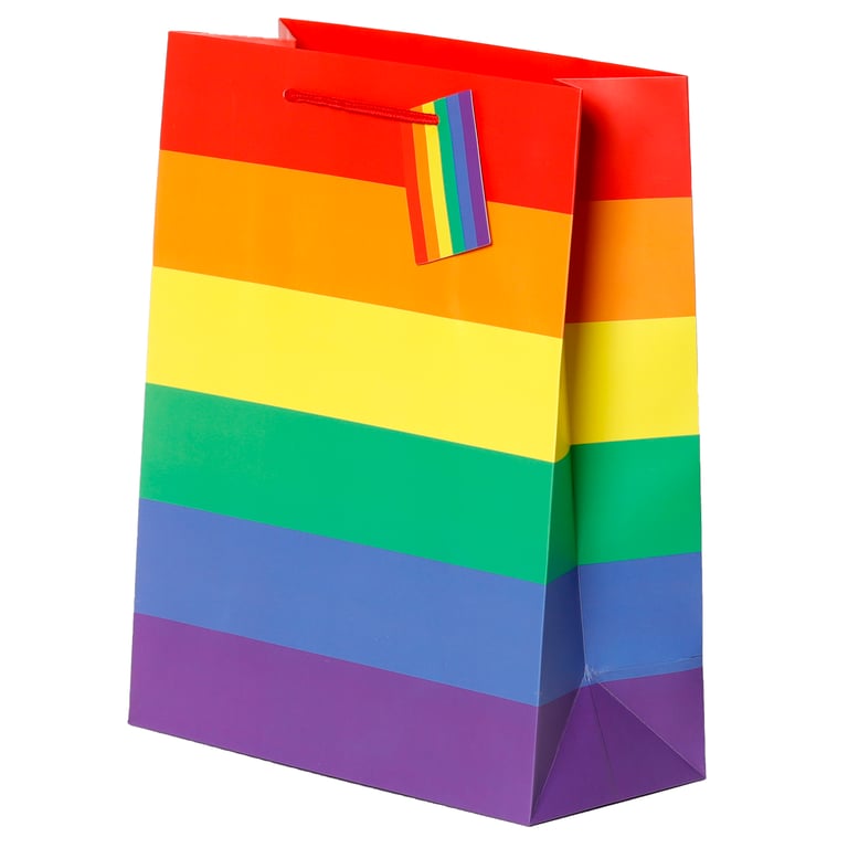 Large Card Gift Bag with Cord Handles and Tag - Perfect Home Decor Party Supply