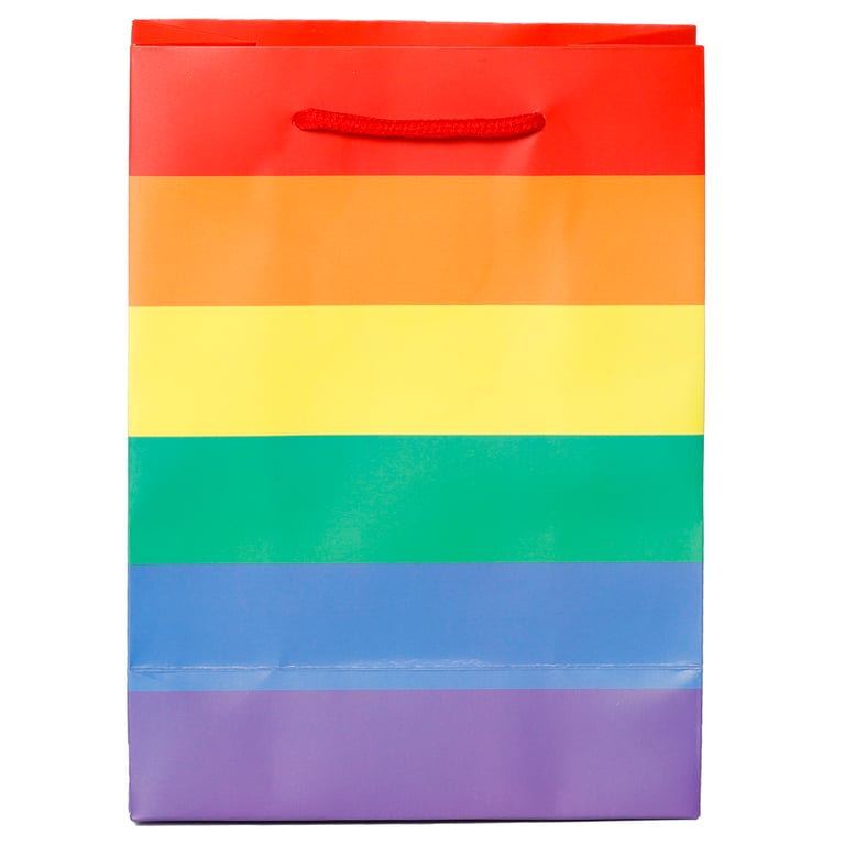 Medium Card Gift Bag with Cord Handles and Tag - Somewhere Rainbow