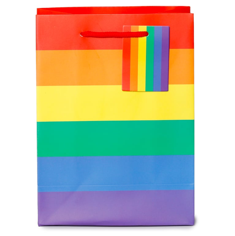 Medium Card Gift Bag with Cord Handles and Tag - Somewhere Rainbow