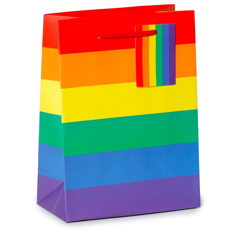 Medium Card Gift Bag with Cord Handles and Tag - Somewhere Rainbow