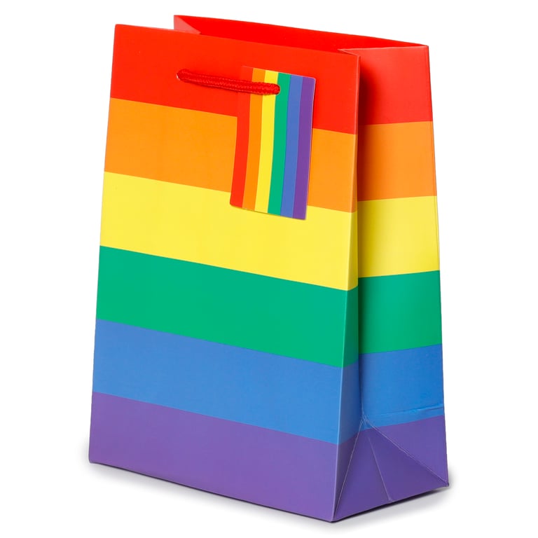 Medium Card Gift Bag with Cord Handles and Tag - Somewhere Rainbow