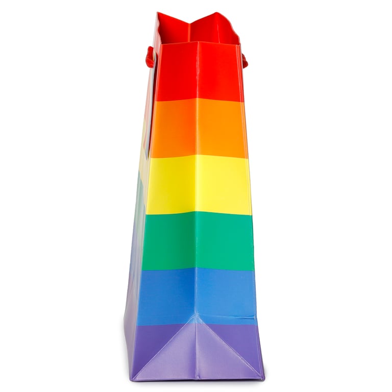 Medium Card Gift Bag with Cord Handles and Tag - Somewhere Rainbow