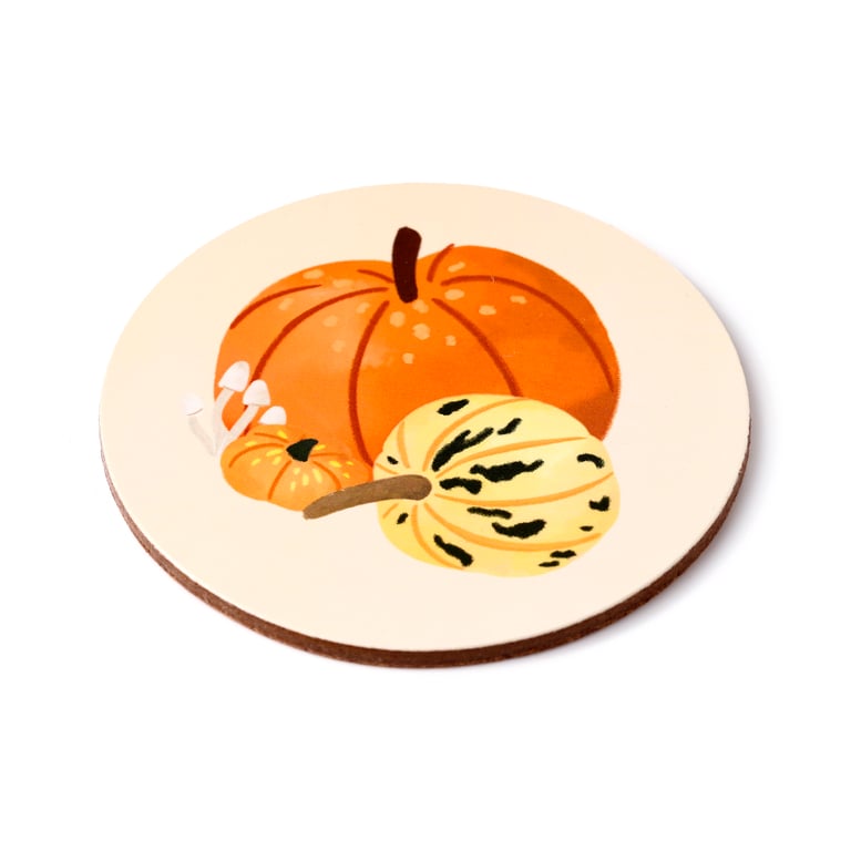 Set of 4 Autumn Harvest Cork Coasters - Seasonal Paper Protection