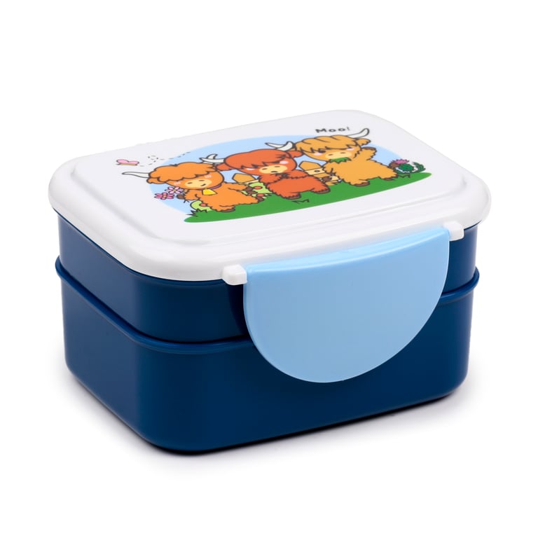 Bento Clip Lock Lunch Box - Polypropylene, Food Safe & BPA Free
