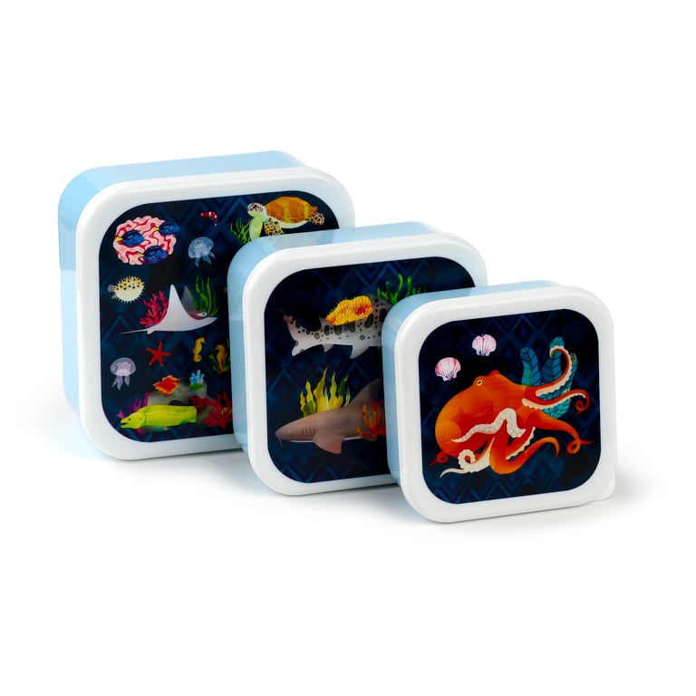 Marine Kingdom Polypropylene Lunch Boxes Set - 3 Pack BPA Free & Food Safe