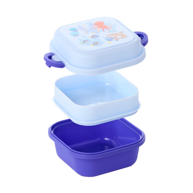 Bento Clip Lock Snack Lunch Box - Food Safe & Microwave Friendly Container
