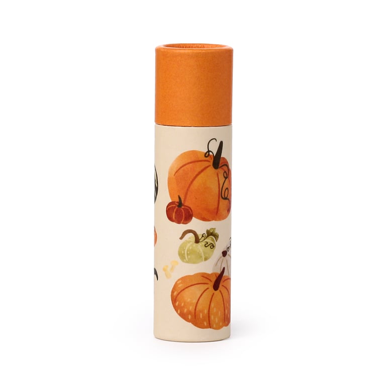 Pumpkin Spice Paper Stick Lip Balm - Eco Friendly & Vegan