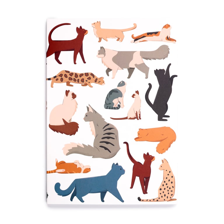 Recycled Paper A5 Lined Notebook - Eco Friendly Feline Fine Cats Journal