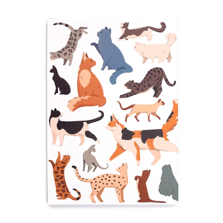 Recycled Paper A5 Lined Notebook - Eco Friendly Feline Fine Cats Journal