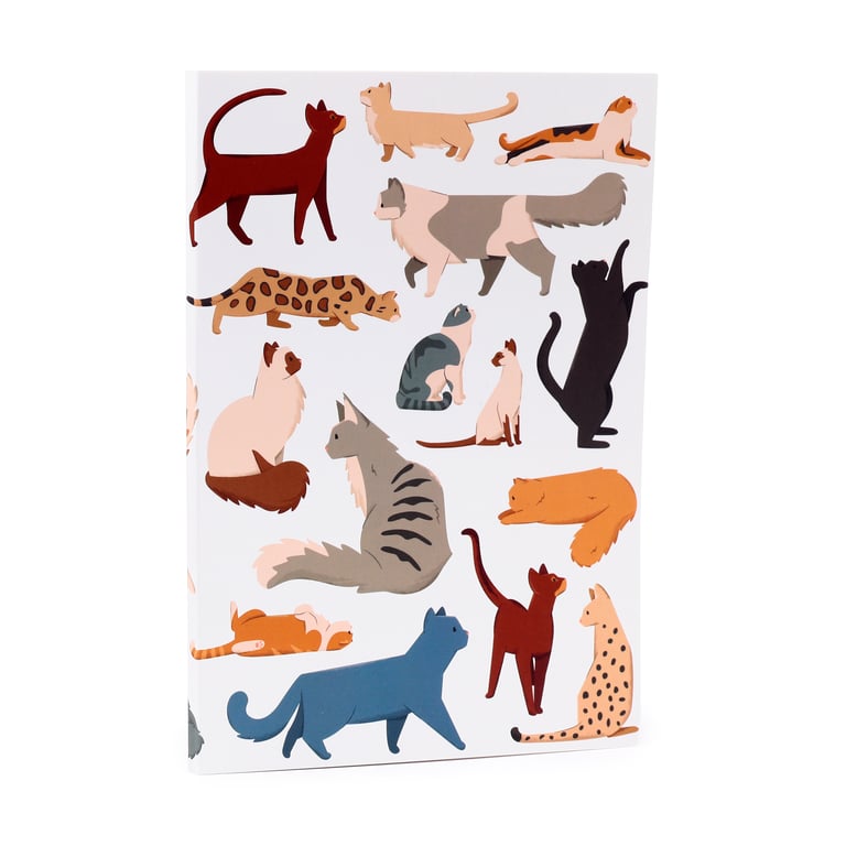 Recycled Paper A5 Lined Notebook - Eco Friendly Feline Fine Cats Journal