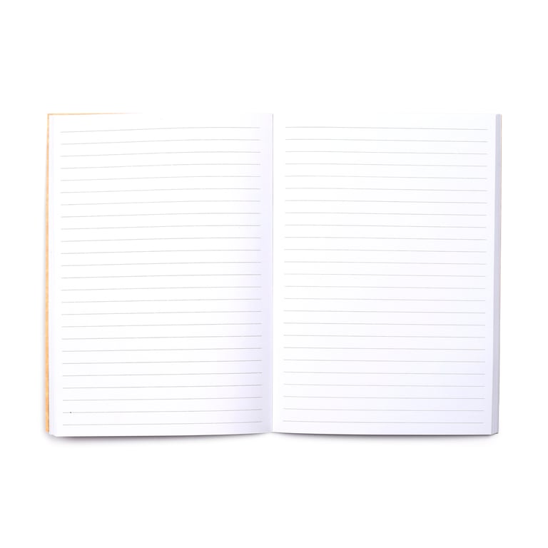 Recycled Paper A5 Lined Notebook - Eco Friendly Feline Fine Cats Journal