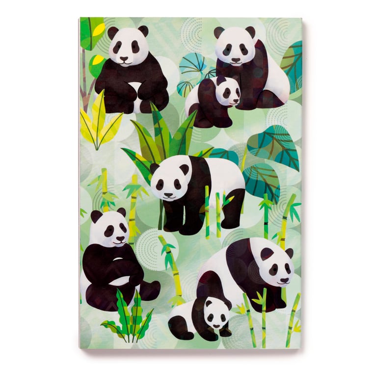 Recycled Paper A5 Lined Notebook - Eco Friendly Panda Kingdom Notebook