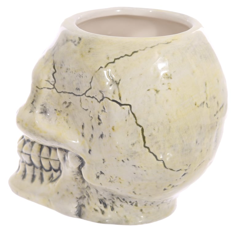Ceramic Shaped Head Mug - Ancient Skull, Food Safe and 460ml Volume