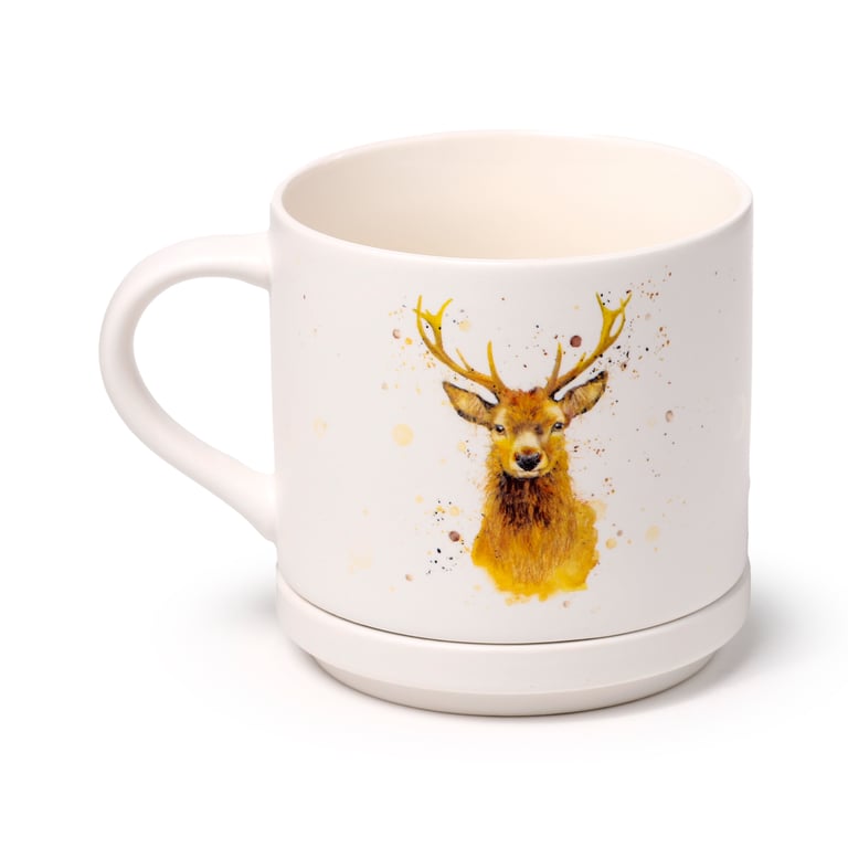 Porcelain Mug & Coaster Lid Set - Jan Pashley Stag Design, Microwave Safe & Dishwasher Safe, 420ml