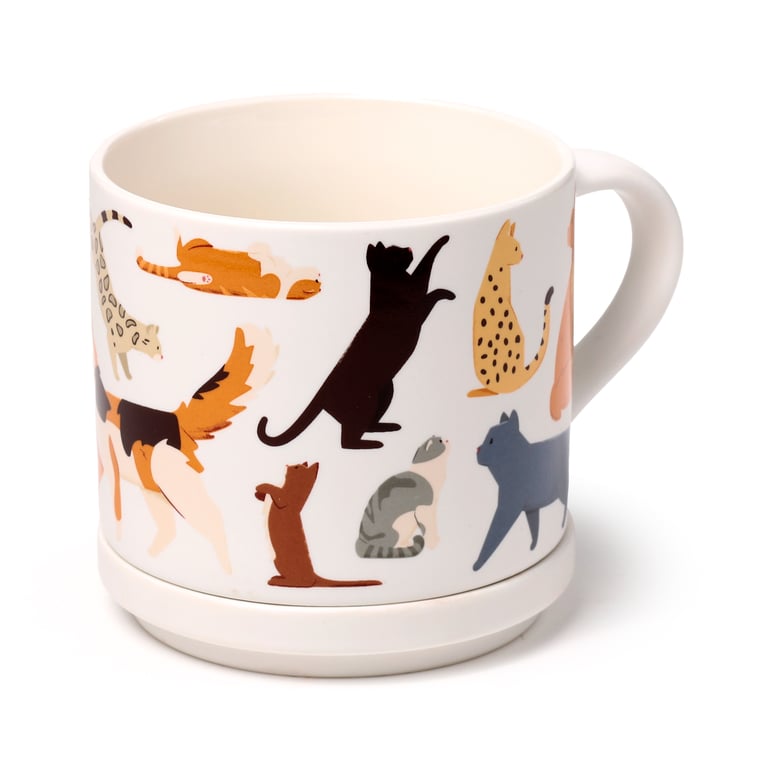 Porcelain Feline Fine Cats Mug & Coaster Lid Set - Microwave & Dishwasher Safe