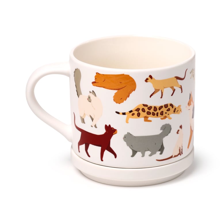 Porcelain Feline Fine Cats Mug & Coaster Lid Set - Microwave & Dishwasher Safe