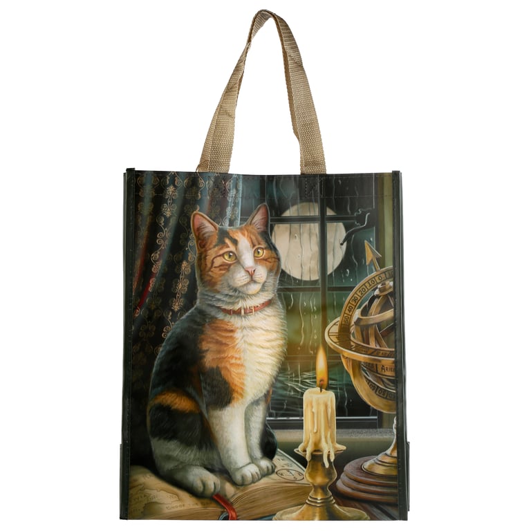 Durable Reusable Shopping Bag - Laminated Polypropylene Cat Print Adventure Awaits Licensed Tote