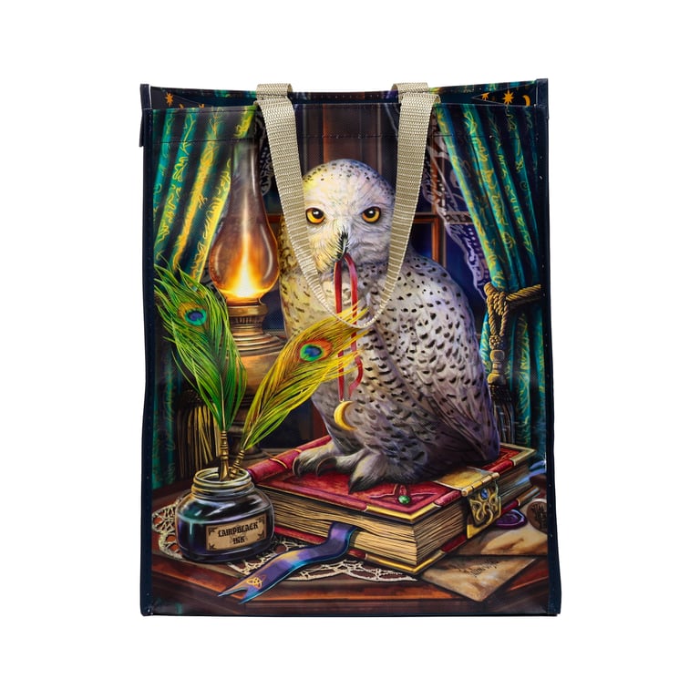Lisa Parker Guardian of Spells Owl Durable Reusable Shopping Bag